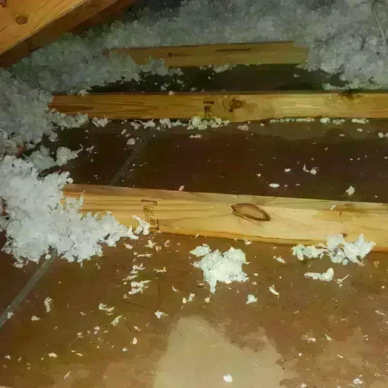 Attic Water Damage in Owosso, MI