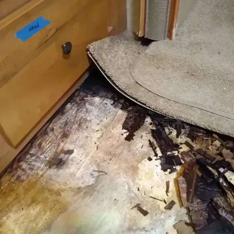 Wood Floor Water Damage in Owosso, MI